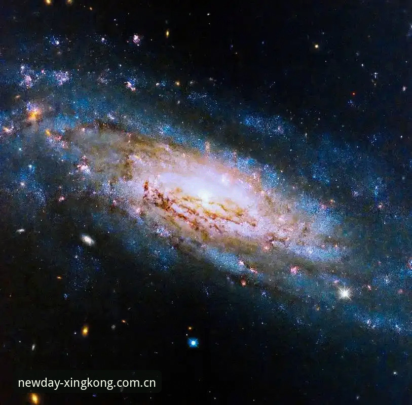 星空中国官方入口使用指南 星空体育官网最新动态:星空中国官方入口使用指南实测,这3个坑90%的人踩过